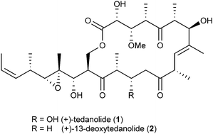 Graphical abstract: Syntheses of the tedanolides