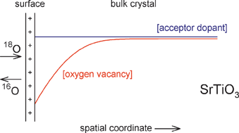 Graphical abstract: Using 18O/16O exchange to probe an equilibrium space-charge layer at the surface of a crystalline oxide: method and application