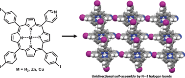Graphical abstract: Rational design of supramolecular chirality in porphyrin assemblies: the halogen bond case