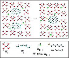 Graphical abstract: Thermodynamics of micelle formation in water, hydrophobic processes and surfactant self-assemblies