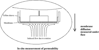 Graphical abstract: A hydrodynamic approach to the measurement of the permeability of small molecules across artificial membranes