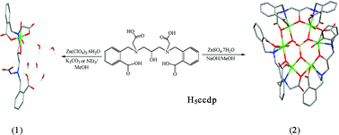 Graphical abstract: Synthesis and characterization of mono- and μ6-sulfato hexanuclear zinc complexes of a new symmetric dinucleating ligand