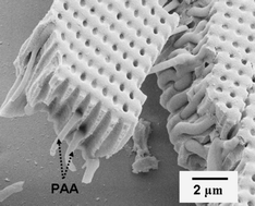 Graphical abstract: Mechanical properties of composite polymer microstructures fabricated by interference lithography