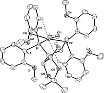 Graphical abstract: Synthesis of palladium(ii) complexes containing a new α-d-xylofuranose-modified diphosphine and their application as catalyst precursors in the co- and terpolymerization of CO–ethene and propene