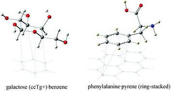 Graphical abstract: The interaction of carbohydrates and amino acids with aromatic systems studied by density functional and semi-empirical molecular orbital calculations with dispersion corrections