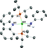 Graphical abstract: Terminal nickel(ii) amide, alkoxide, and thiolate complexes containing amido diphosphine ligands of the type [N(o-C6H4PR2)2]− (R = Ph, iPr, Cy)