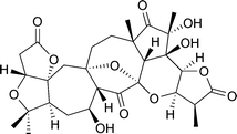 Graphical abstract: Triterpenoids from the Schisandraceae family