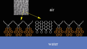 Graphical abstract: Segregation of lipid in Ir-dye/DMPA mixed monolayers as strategy to fabricate 2D supramolecular nanostructures at the air–water interface