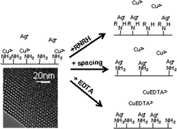 Graphical abstract: Selective mesoporous adsorbents for Ag+/Cu2+ separation