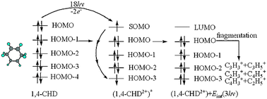 Graphical abstract: Theoretical study of multiphoton ionization of cyclohexadienes and unimolecular decomposition of their mono- and dications