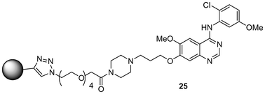 Graphical abstract: Design, synthesis and characterization of “clickable” 4-anilinoquinazolinekinase inhibitors