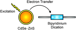 Graphical abstract: Luminescence quenching in supramolecular assemblies of quantum dots and bipyridinium dications