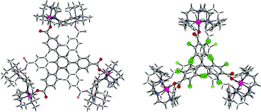 Graphical abstract: Nanosized trigonal prismatic and antiprismatic CuII coordination cages based on tricarboxylate linkers