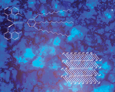 Graphical abstract: A “jellyfish” shaped green emitting gallium(iii)-containing metallomesogen