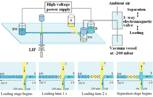 Graphical abstract: Rapid and variable-volume sample loading in sieving electrophoresis microchips using negative pressure combined with electrokinetic force