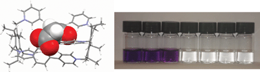 Graphical abstract: Intramolecular binding site competition as a means of tuning the response of a colourimetric anion sensor