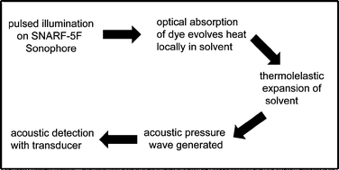 Graphical abstract: Ratiometric photoacoustic sensing of pH using a “sonophore”