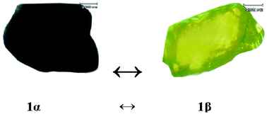 Graphical abstract: Crystal-to-crystal transformation from a chain polymer to a two-dimensional network by thermal desolvation
