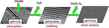 Graphical abstract: Unraveling molecular transformations on surfaces: a critical comparison of oxidation reactions on coinage metals