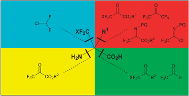 Graphical abstract: Synthetic strategies to α-trifluoromethyl and α-difluoromethyl substituted α-amino acids