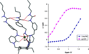 Graphical abstract: Conformational control by ‘zipping-up’ an anion-binding unimolecular capsule
