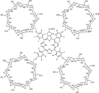 Graphical abstract: Photophysical properties of a photocytotoxic fluorinated chlorin conjugated to four β-cyclodextrins