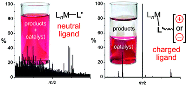 Graphical abstract: Charged ligands for catalyst immobilisation and analysis