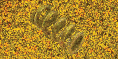 Graphical abstract: Twists in mesomorphic columnar supramolecular assemblies