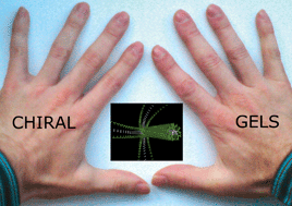 Graphical abstract: Lost in translation? Chirality effects in the self-assembly of nanostructured gel-phase materials