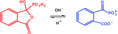 Graphical abstract: Ring–chain tautomerism and protolytic equilibria of 3-hydroxy-3-phosphonoisobenzofuranone studied by 1H, 13C and 31P NMR-controlled titrations