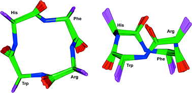 Graphical abstract: Cyclic tetrapeptides via the ring contraction strategy: chemical techniques useful for their identification