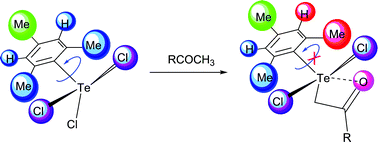 Graphical abstract: Acylmethyl(aryl)tellurium(iv,ii) derivatives: intramolecular secondary bonding and steric rigidity
