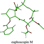 Graphical abstract: Discovery of a new series of jatrophane and lathyrane diterpenes as potent and specific P-glycoprotein modulators