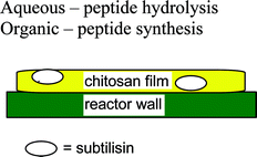 Graphical abstract: Efficient subtilisin immobilization in chitosan, and peptide synthesis using chitosan–subtilisin biocatalytic films