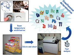Graphical abstract: A fast method for the determination of 16 elements in hair samples by inductively coupled plasma mass spectrometry (ICP-MS) with tetramethylammonium hydroxide solubilization at room temperature