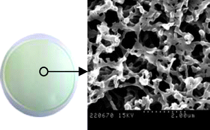 Graphical abstract: Nanocomposite membranes as highly selective and sensitive mercury(ii) detectors