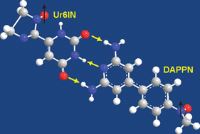 Graphical abstract: Molecular recognition in a heteromolecular radical pair system with complementary multipoint hydrogen-bonding