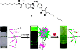 Graphical abstract: Gelation-induced fluorescence enhancement of benzoxazole-based organogel and its naked-eye fluoride detection