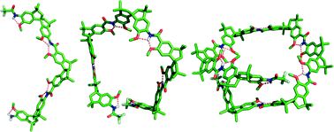 Graphical abstract: Foldamers with unusual structural architecture from spirobi(indane) building blocks