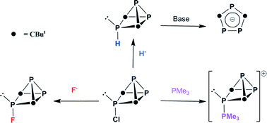 Graphical abstract: Nucleophilic substitution reactions of the tricyclic triphosphorus cage P3(CBut)2: a novel route to polyphosphorus phosphenium complexes