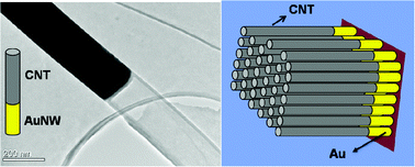 Graphical abstract: Synthesis of hybrid nanowire arrays and their application as high power supercapacitor electrodes