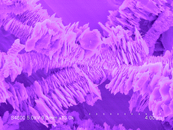 Graphical abstract: Microwave-assisted synthesis of BaCO3 crystals with higher-order superstructures in the presence of SDS