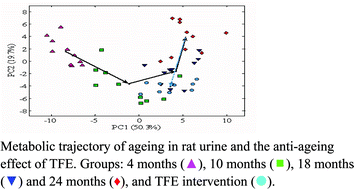 Graphical abstract: Metabonomic study on ageing: NMR-based investigation into rat urinary metabolites and the effect of the total flavone of Epimedium