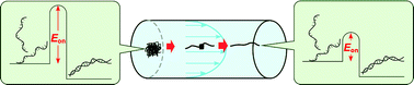 Graphical abstract: The change of activation energy in microchannel laminar flow as demonstrated by kinetic analysis of the DNA duplex–coil equilibrium