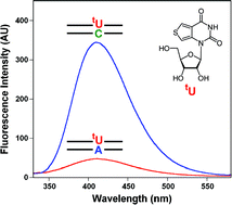 Graphical abstract: A highly fluorescent nucleoside analog based on thieno[3,4-d]pyrimidine senses mismatched pairing