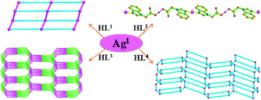 Graphical abstract: Novel Ag(I) complexes with azole heterocycle ligands bearing acetic acid group: synthesis, characterization and crystal structures