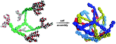 Graphical abstract: Synthesis and self-assembly of propeller-shaped amphiphilic molecules