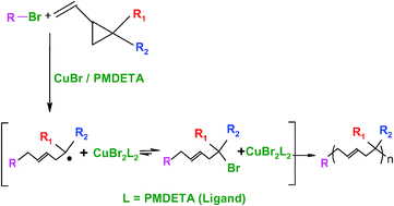 Graphical abstract: Copper-mediated controlled radical ring-opening polymerization (RROP) of a vinylcycloalkane