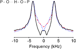 Graphical abstract: Proton chemical shift anisotropy measurements of hydrogen-bonded functional groups by fast magic-angle spinning solid-state NMR spectroscopy