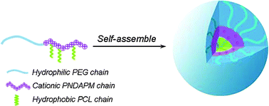 Graphical abstract: Novel polycationic micelles for drug delivery and gene transfer